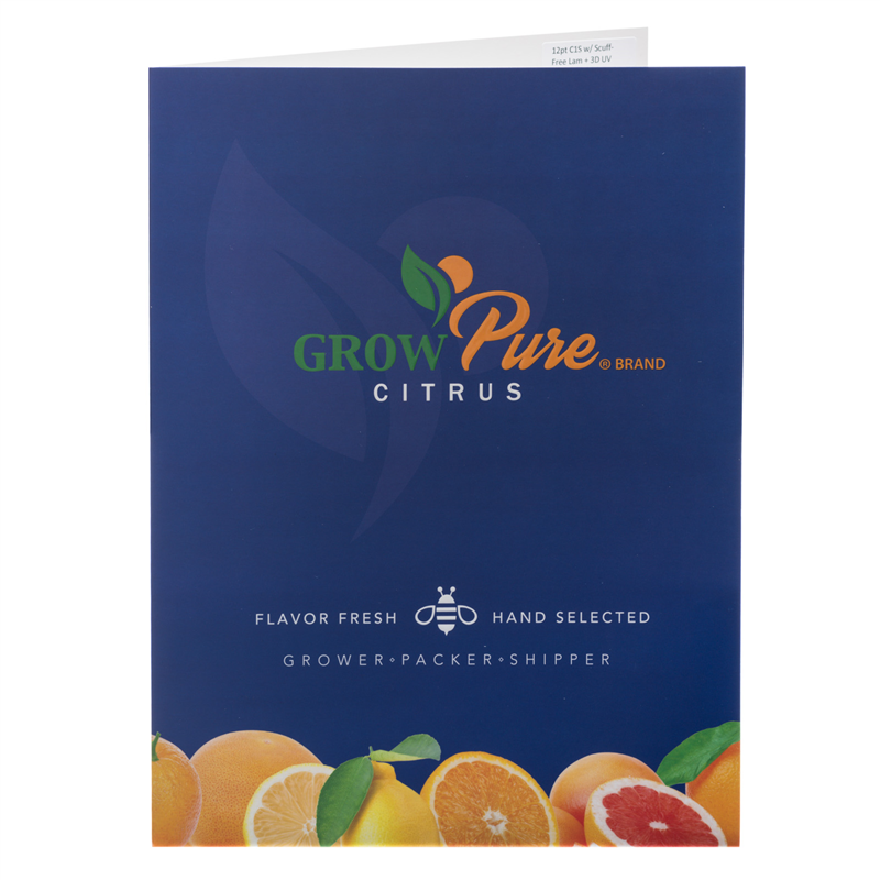 Same day presentation folder product image